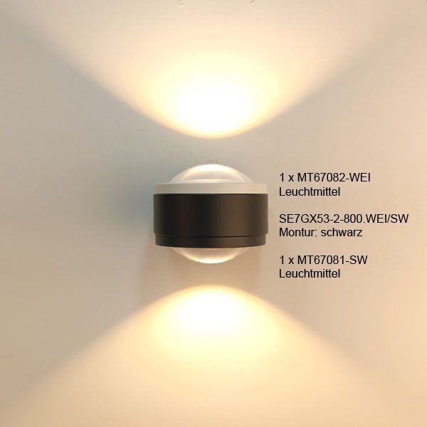 Menzel SOLO LED Wandleuchte 2 x Gx53 für wechselbaren LED Leuchtmitteln, Eisen Blattfarbe nach Wahl