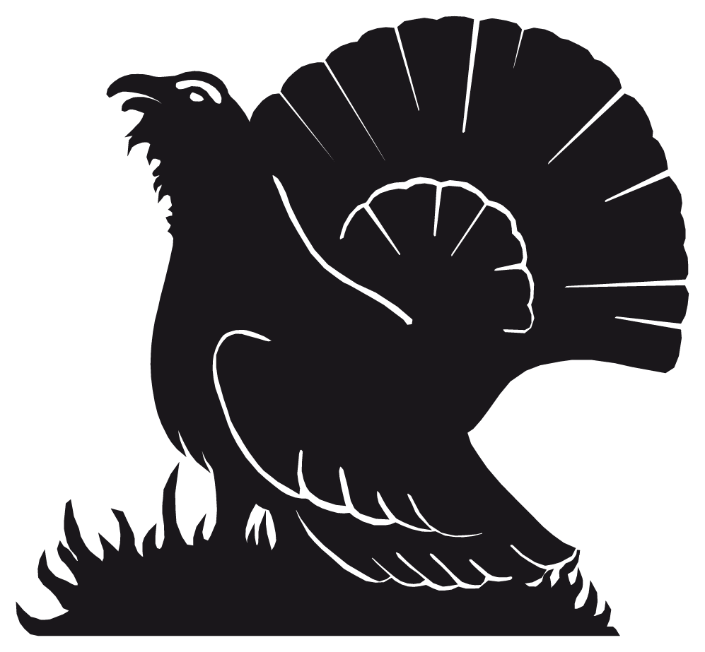 Menzel Themen Motiv Jagd Auerhahn